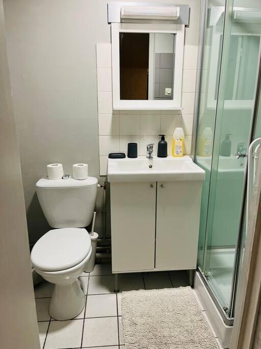 Appart Illy Cosy Et Confortable Saint-Etienne  Bagian luar foto